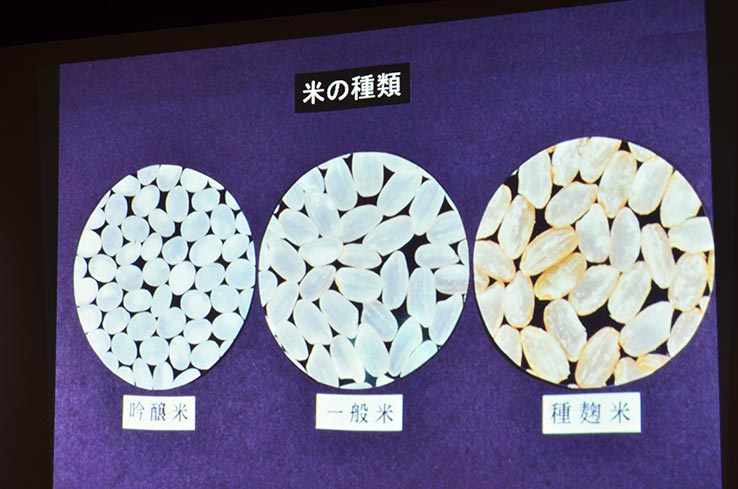 種麹の原料米と一般米、吟醸米の比較